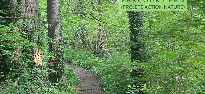 Parcours PAN Chemin dans une forêt