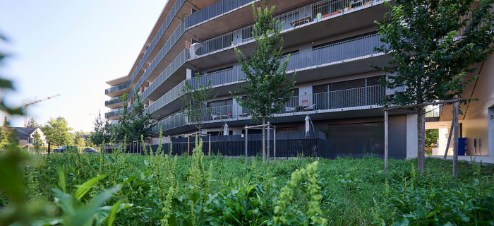 Nouveau quartier (c) Loris Von Siebenthal Nouveau quartier (c) Loris Von Siebenthal