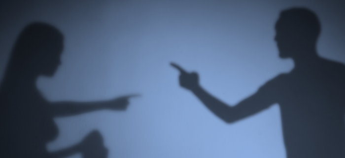 Violences domestiques: point de situation et projets cantonaux