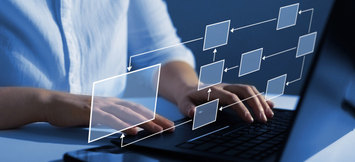 Le DIN à la recherche de sa nouvelle déléguée ou de son nouveau délégué au numérique 