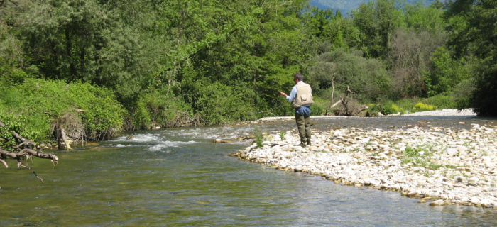 Illustration pêche 2026
