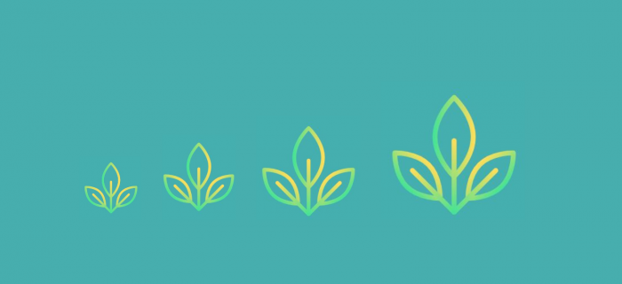 Les Matinales de la création d'entreprise