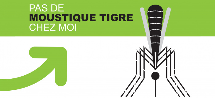 Pas de moustique tigre chez moi