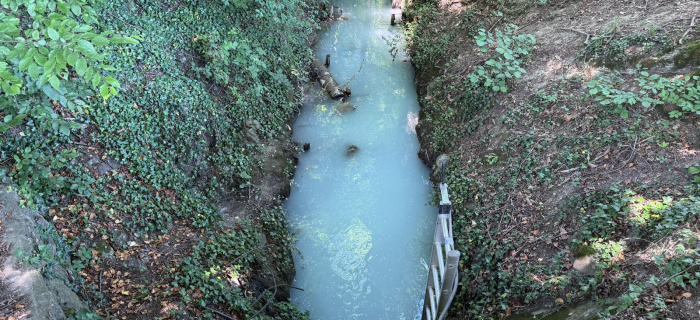 Ruisseau du Marais - 28 mai 2026