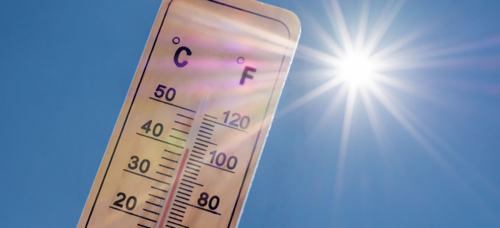 Alerte canicule 
