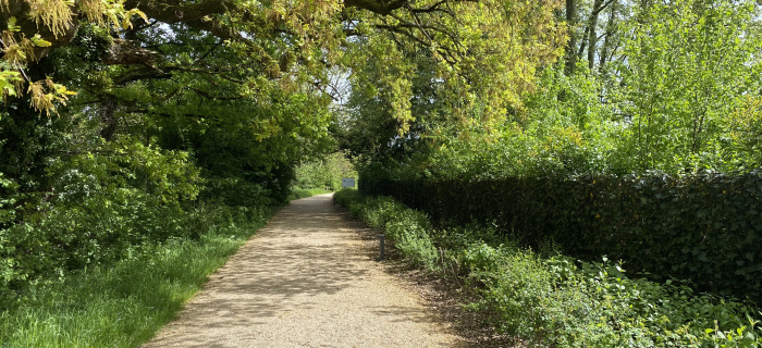 La promenade dans le secteur Grand-Morillon