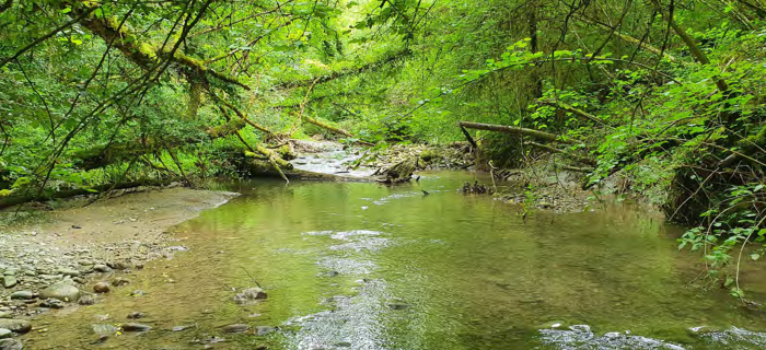 Rivière La Laire