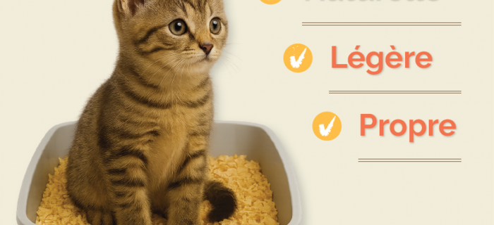 Litière végétale pour chats