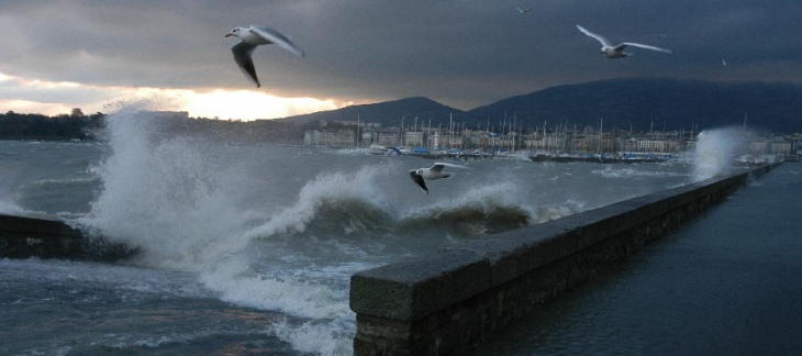 Le lac Léman agité, mouettes et gros temps