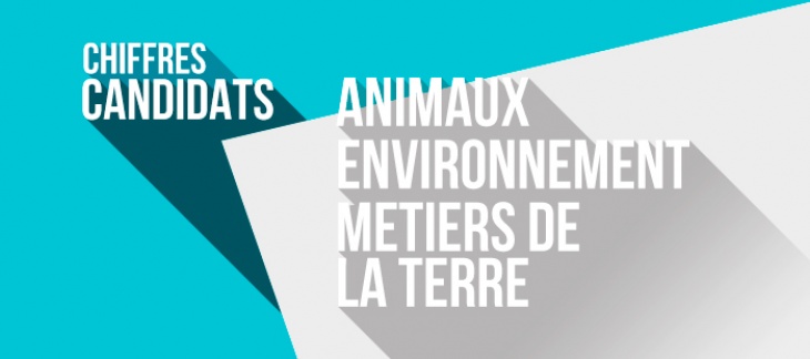 Combien de candidats avons-nous dans ces secteurs ? Combien de candidats avons-nous dans ces secteurs ?