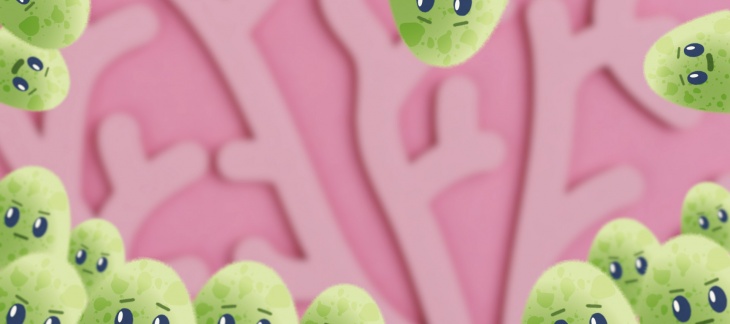 Les bons gestes pour se protéger du virus Les bons gestes pour se protéger du virus