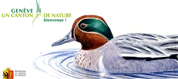 canard canard