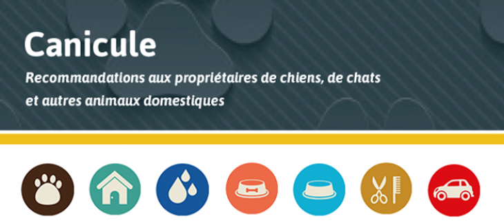 Protégez vos animaux de la chaleur ! Protégez vos animaux de la chaleur !
