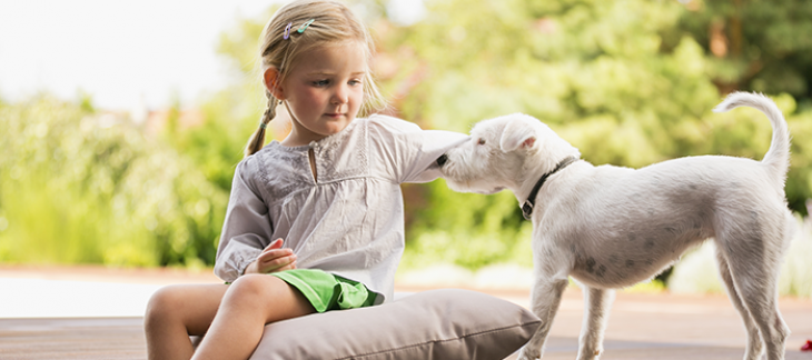 Information concernant la remise de marque de contrôle pour les chiens 