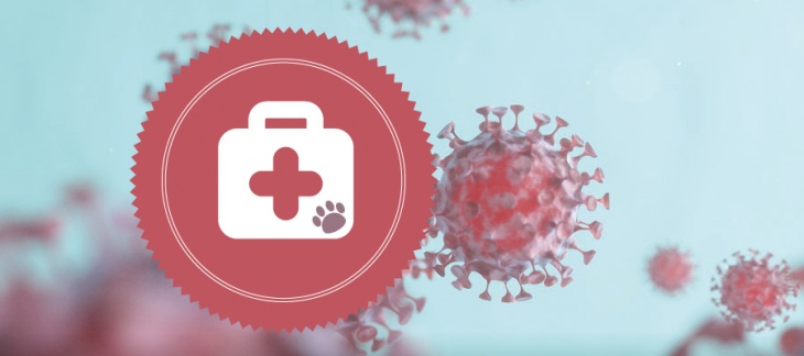 Coronavirus – informations concernant les affaires vétérinaires
