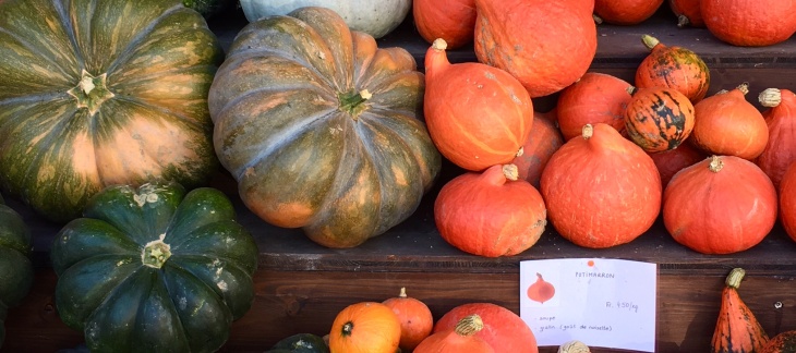 courge locale diversité