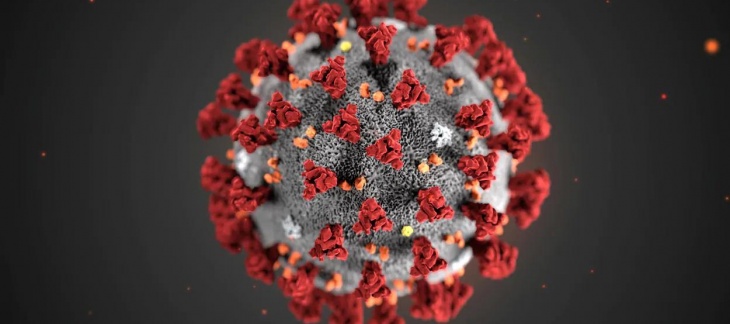 Le coronavirus modifie le travail des fonctionnaires