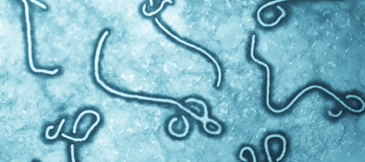 Hospitalisation aux Hôpitaux universitaires de Genève d’une personne atteinte du virus Ebola