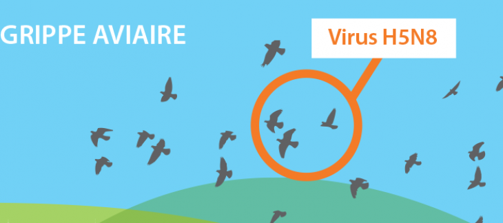 Grippe aviaire: information importante du vétérinaire cantonal - point de situation du 17 mars 2017 Grippe aviaire: information importante du vétérinaire cantonal - point de situation du 17 mars 2017