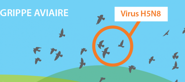 Grippe aviaire: information importante du vétérinaire cantonal - point de situation du 17 mars 2017