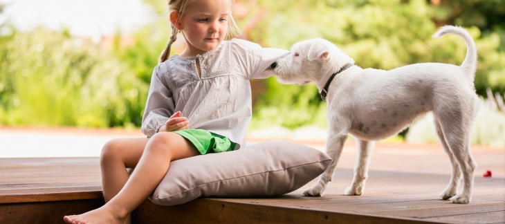 Les animaux ne sont pas des cadeaux