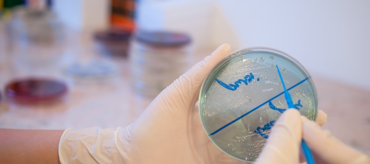 Rapport final du projet pilote de surveillance de l'antibiorésistance d’agents pathogènes pour les animaux