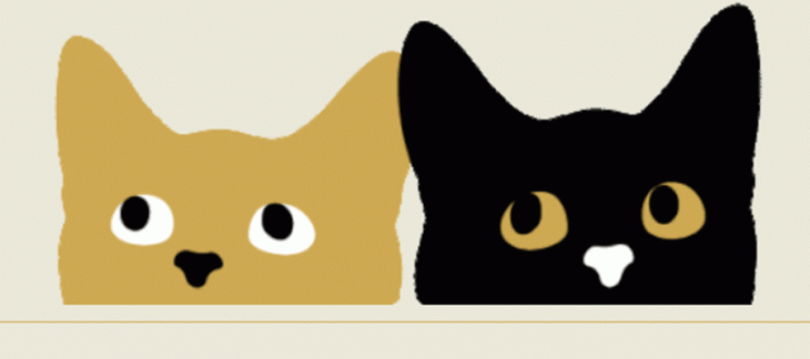 Luna&Filou : la campagne pour les chats en bonne santé et heureux