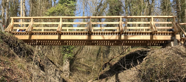 Passerelle du Nant des Fourches