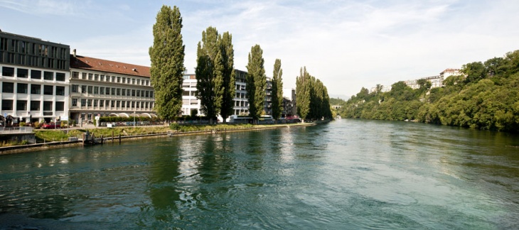 Saules
