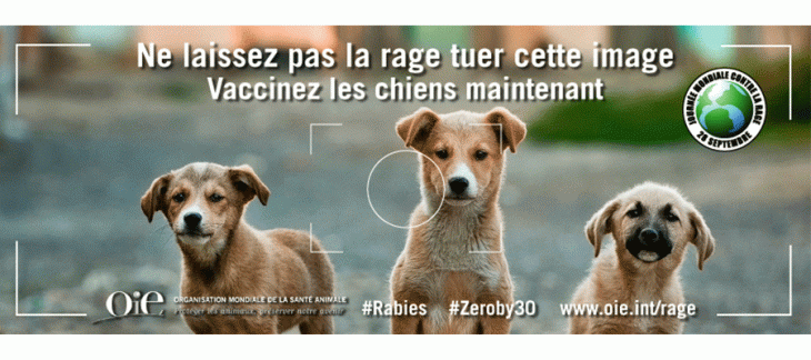 Journée mondiale contre la rage 2018 Journée mondiale contre la rage 2018