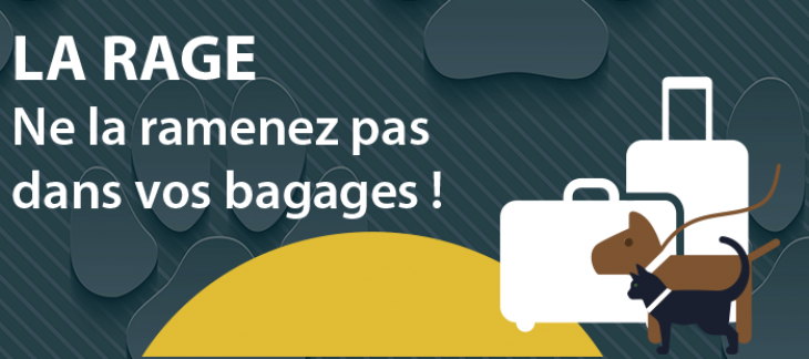 La rage – Ne la ramenez pas dans vos bagages ! La rage – Ne la ramenez pas dans vos bagages !