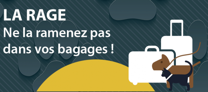 La rage – Ne la ramenez pas dans vos bagages ! 