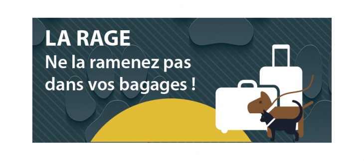 La rage – Ne la ramenez pas dans vos bagages ! La rage – Ne la ramenez pas dans vos bagages !