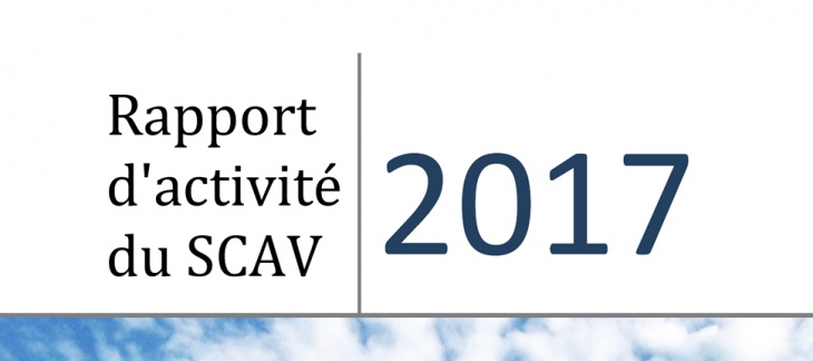 Rapport d'activité 2017