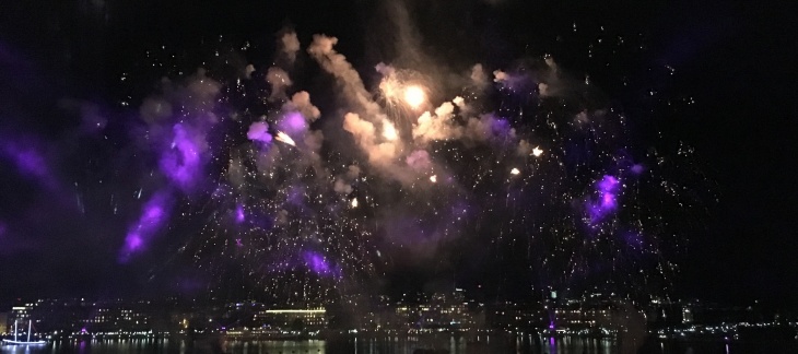 Protégez vos animaux du bruit des feux d'artifice ! Protégez vos animaux du bruit des feux d'artifice !
