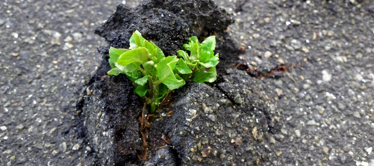 Genève lance un processus d'innovation collaborative pour renforcer durablement le tissu économique et social du canton