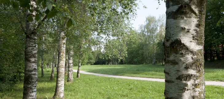 Parc des Evaux / Olivier Zimmermann Parc des Evaux / Olivier Zimmermann
