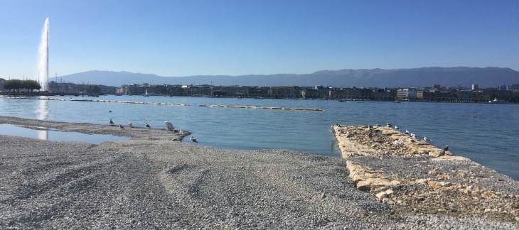 Chantier de la Plage Publique des Eaux-Vives (septembre 2018) © Serge Fruehauf Plage Publique Eaux-Vives