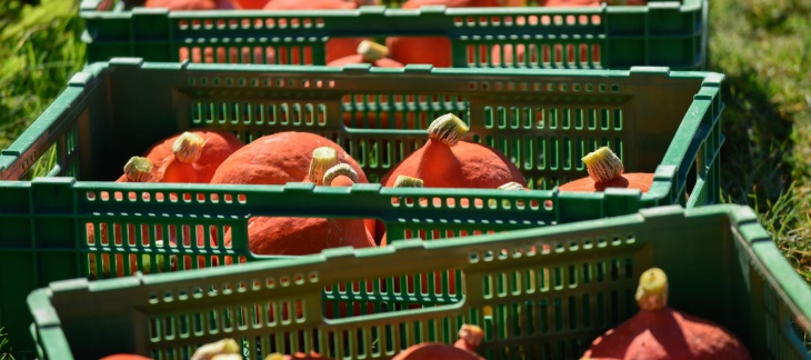 Choisir GRTA sur les bancs de marché