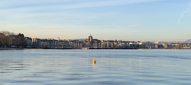 vue de la rade avec la cathédrale 