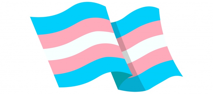 drapeu communauté transgenre