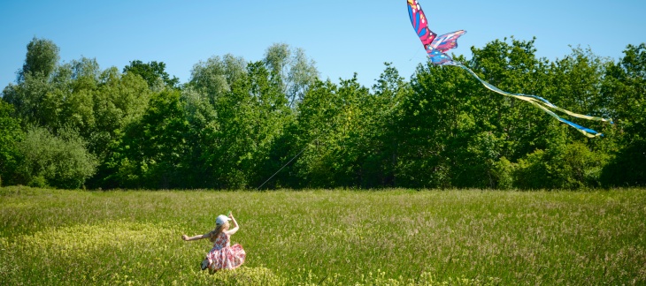 illustration enfants pré cerf volant