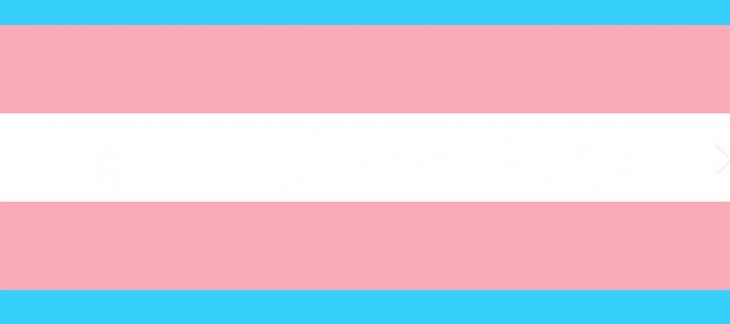 drapeau trans