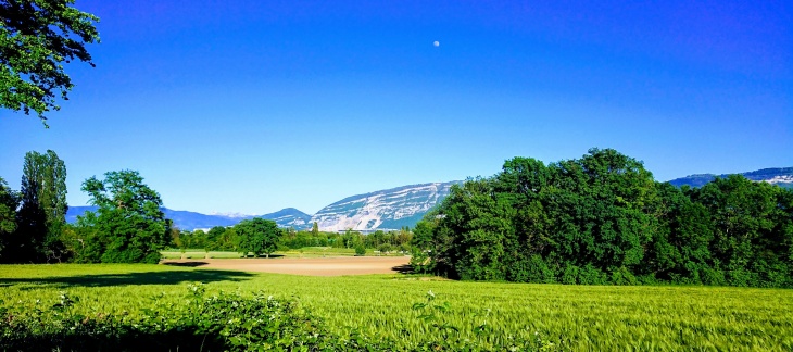 Vallon de l'Aire © Association pour la Sauvegarde de Confignon