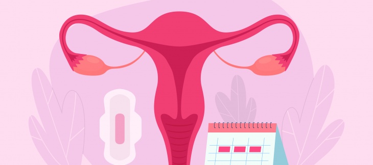 Règles et produits menstruels 
