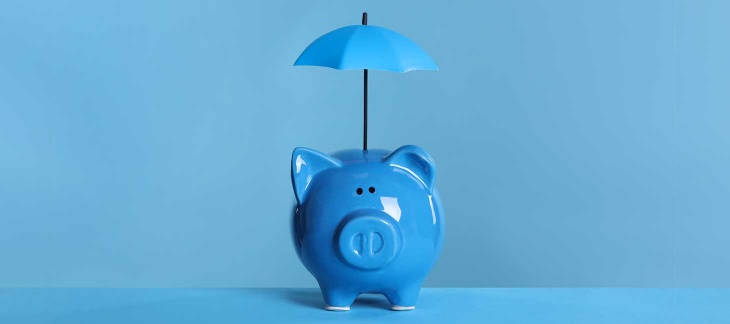 Le bouclier fiscal Le bouclier fiscal