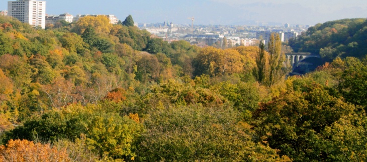 Vue des rives boisées du bord du Rhône