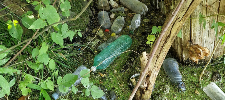 Déchets accumulés, rives du Rhône