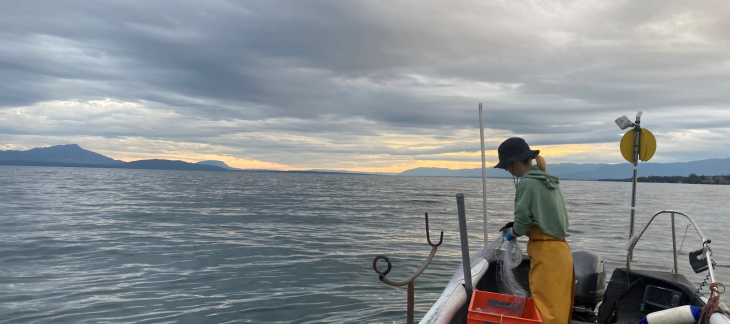 Pêche professionnelle sur le Léman 