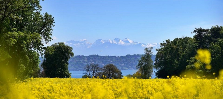 Concours Nature